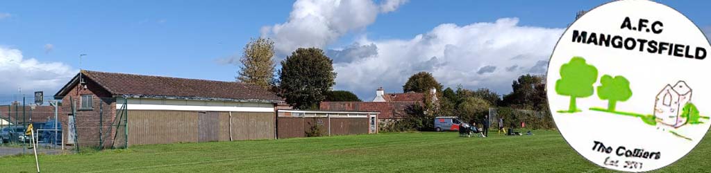 Blackhorse Road Playing Field